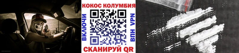 Cocaine FishScale цены наркотик Курган