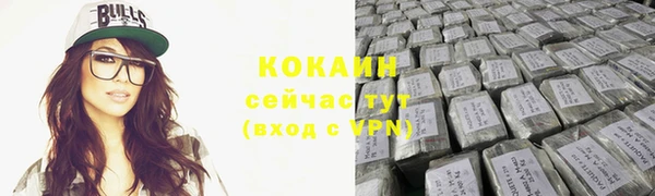 шишки Армянск