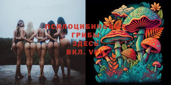 мет Арсеньев