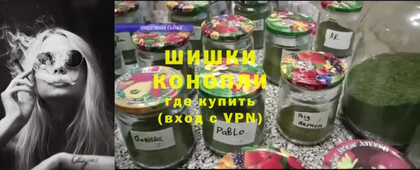шишки Армянск