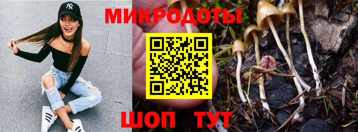 Курган  Галлюциногенные грибы MAGIC MUSHROOMS  Вход с VPN 