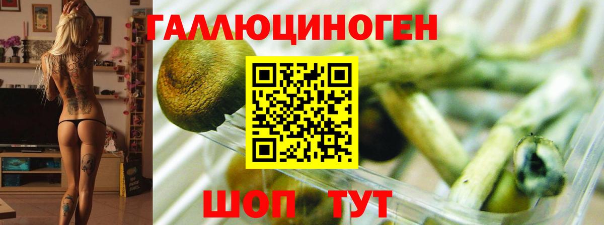 Псилоцибиновые грибы Magic Shrooms Курган
