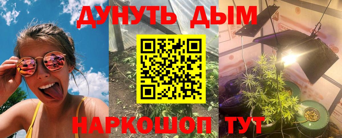 Бошки Шишки тримм Курган
